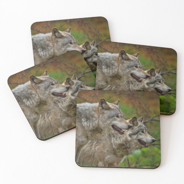 Item preview, Timber Wolves designed and sold by WolvesOnly.