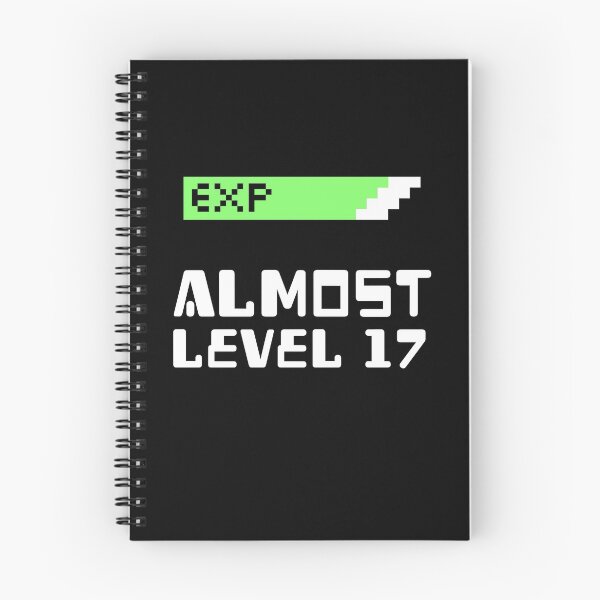 Item preview, Gamer - almost level 17 birthday designed and sold by Beyond Words.