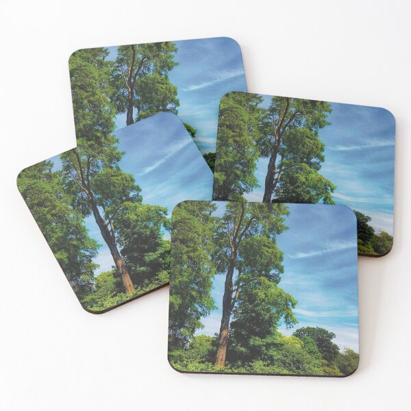 Item preview, Beautiful Trees and Blue Sky designed and sold by ToriaScarlett.