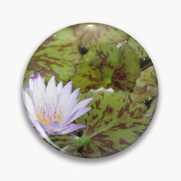 Artikelvorschau, Seerose (2) entworfen und verkauft von BryanAllenPhoto.