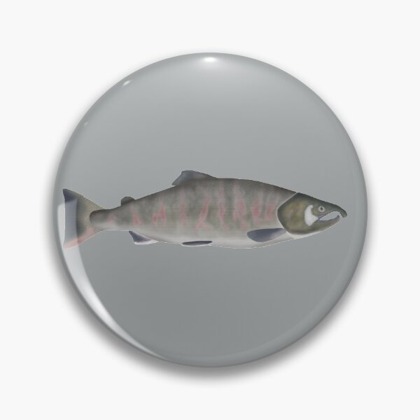 Item preview, Masu Salmon -Spawning Phase designed and sold by fishfolkart.