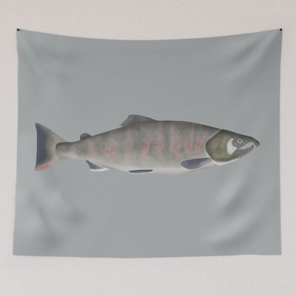 Item preview, Masu Salmon -Spawning Phase designed and sold by fishfolkart.