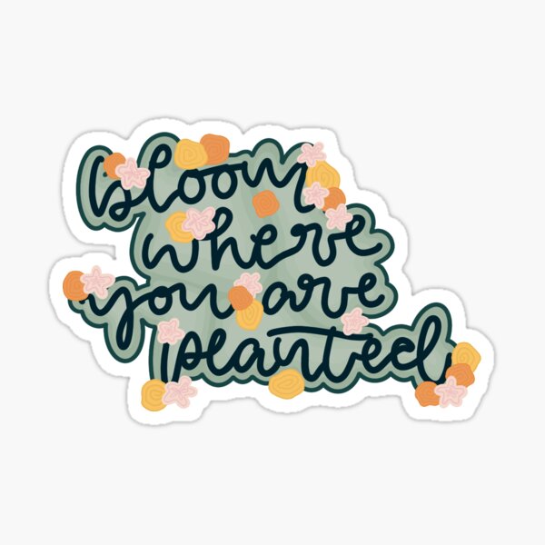 Bloom Where you are Planted Sticker