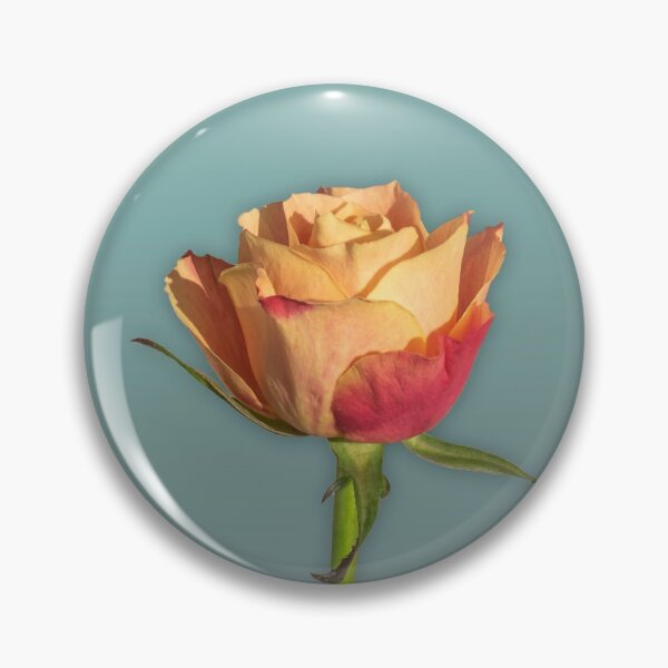 Item preview, Apricot rose on blue background photo designed and sold by EngineerGoC.