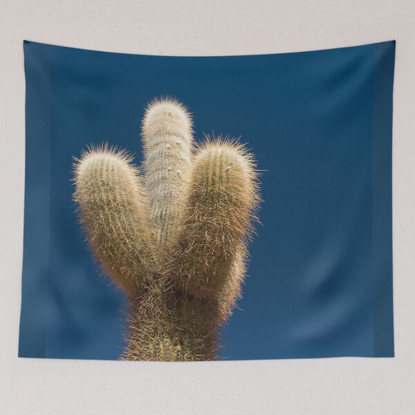 Item preview, Cactus from Argentina designed and sold by Nicomaja.