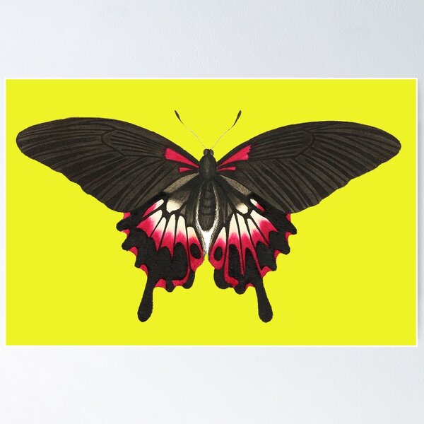 Item preview, La Mariposa Roja designed and sold by REApparelCo.