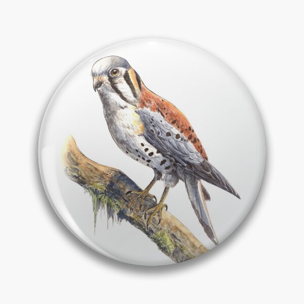 Item preview, Watercolor American Kestrel designed and sold by SarahDahlinger.