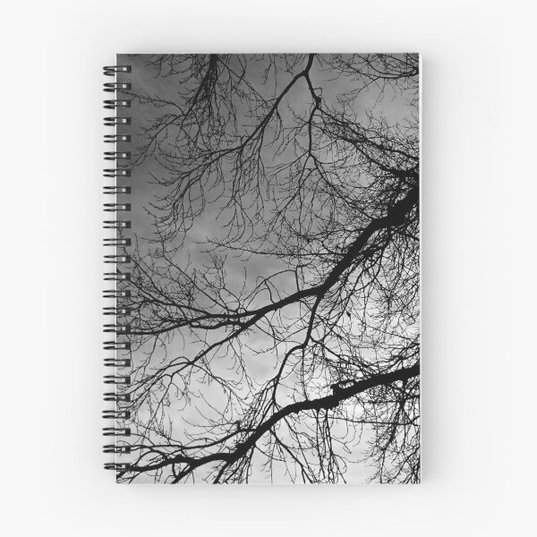 Item preview, Branches against the sky, Thorp Perrow (monochrome) designed and sold by paulboizot.