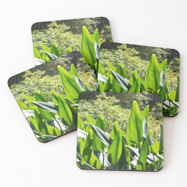 Item preview, Longstock Park Water Garden 1 designed and sold by John Guppy.