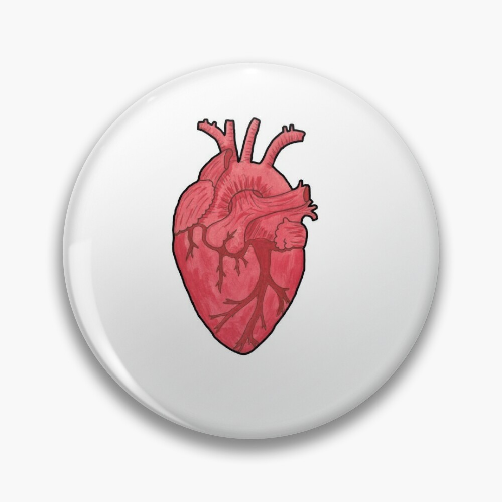 Anatomical Heart Sticker – Not Enough Art