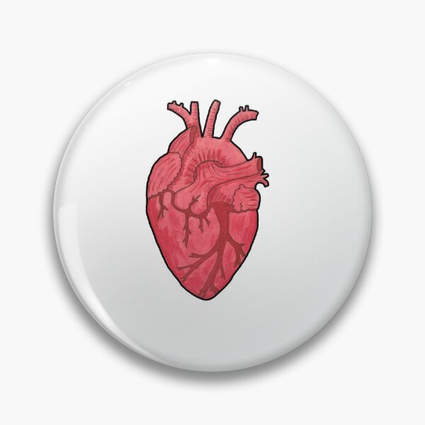 Item preview, Anatomical heart (transparent background) designed and sold by artemisizzy.