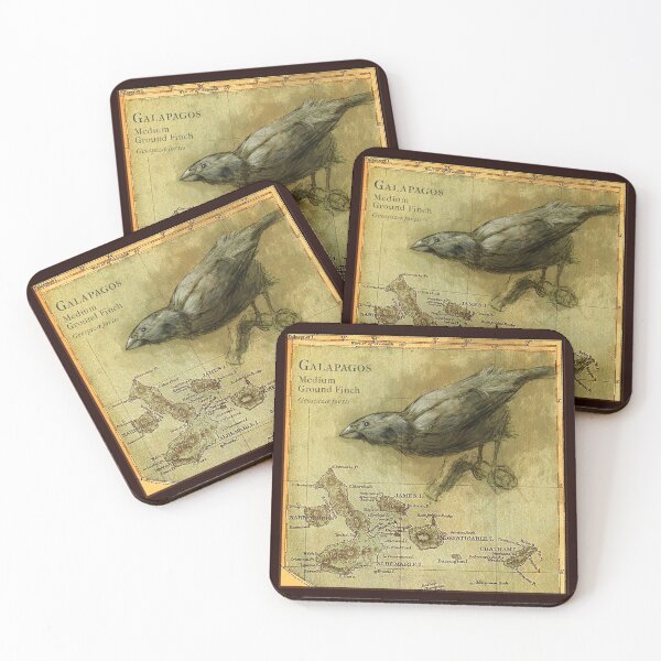 Item preview, Darwin’s Galapagos Finch designed and sold by SarahDahlinger.