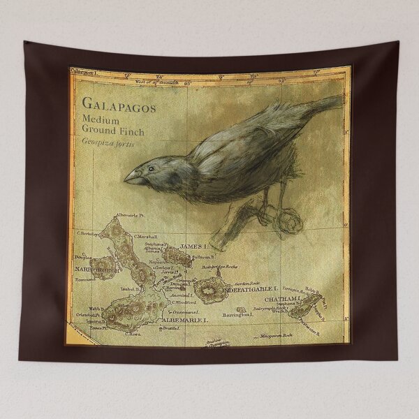 Item preview, Darwin’s Galapagos Finch designed and sold by SarahDahlinger.