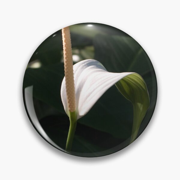 Item preview, Touched by Light ~ White Flowering Lily designed and sold by Kerryn Madsen-Pietsch.