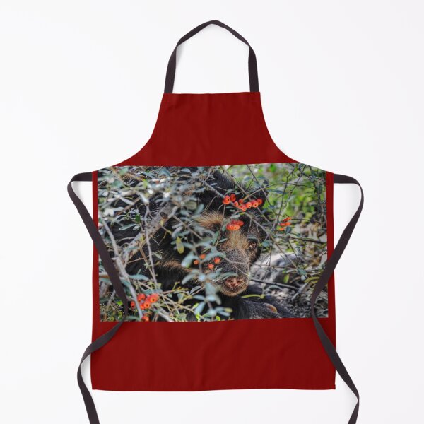 Item preview, Andean Bear designed and sold by Savannah Gibbs.