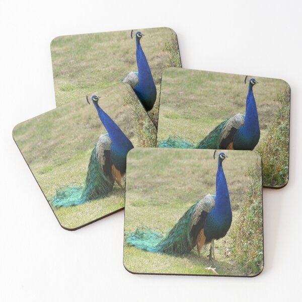 Item preview, Peacock designed and sold by virilamissa.