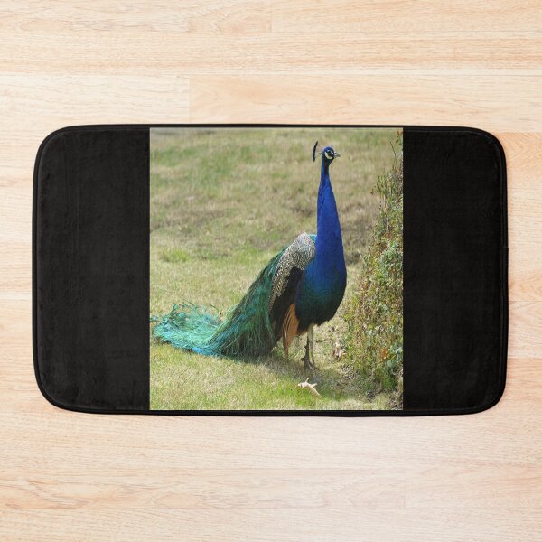 Item preview, Peacock designed and sold by virilamissa.
