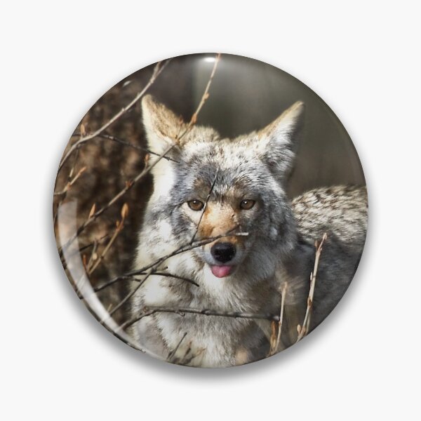 Item preview, We eat, therefore we hunt.  designed and sold by Alex Preiss.