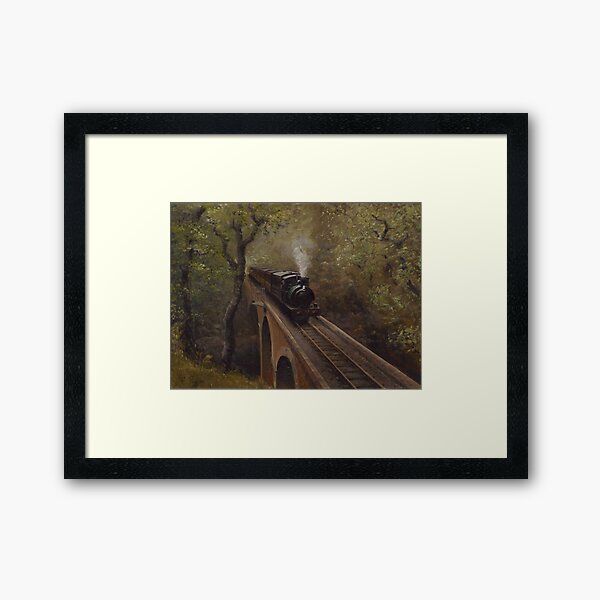 Dolgoch Viaduct Framed Art Print