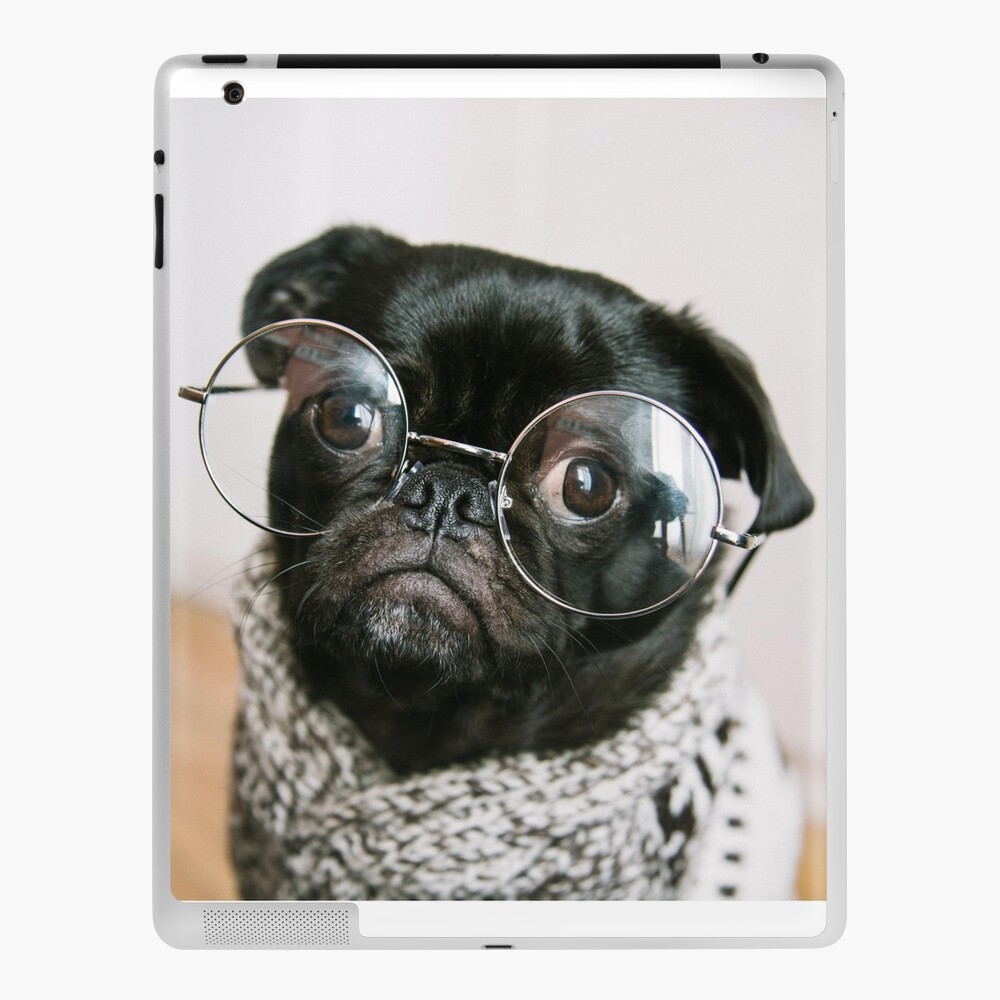 Pug wearing glasses Poster for Sale by angieanguk