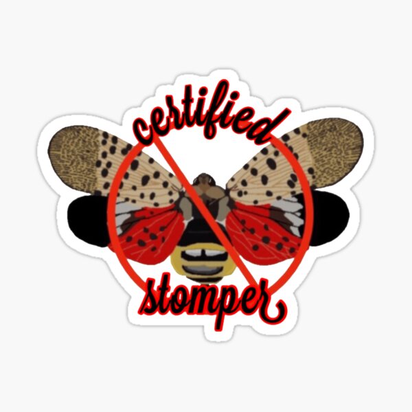 Item preview, Spotted Lanternfly designed and sold by radiantdark.
