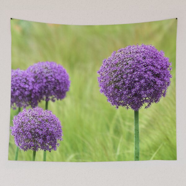 Item preview, Purple allium flowers designed and sold by IoanaHraball.