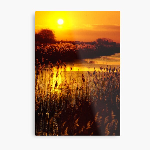 Sunset over the fens. Metal Print