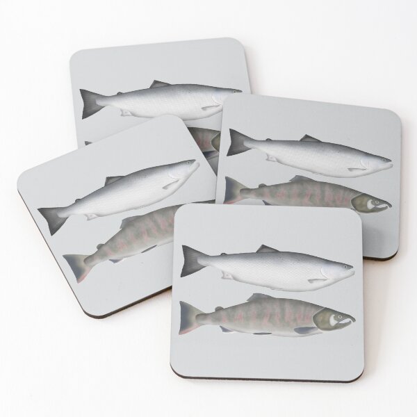 Item preview, Masu Salmon Ocean and Spawning Phases designed and sold by fishfolkart.