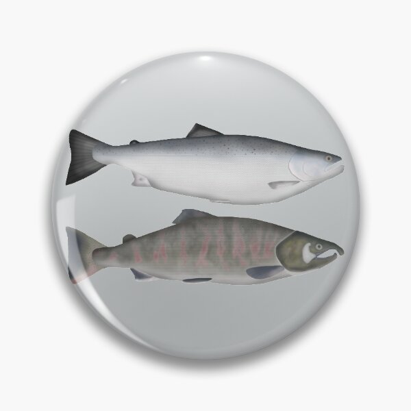 Item preview, Masu Salmon Ocean and Spawning Phases designed and sold by fishfolkart.