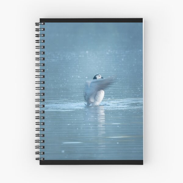 Item preview, Barnacle goose morning bath ritual. collage. designed and sold by steppeland.