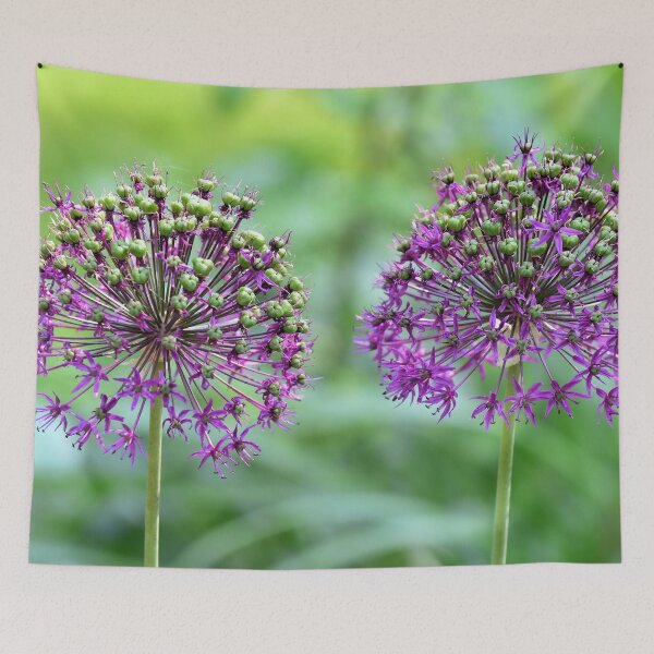 Item preview, Purple allium designed and sold by IoanaHraball.