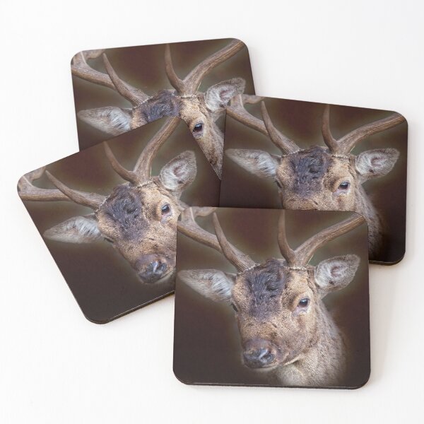 Item preview, Deer Stag designed and sold by Martyn R Arnold Fine Art Nature & Landscape Photography.