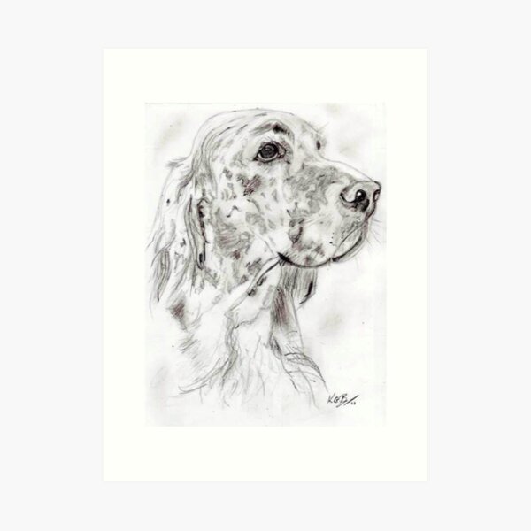 English Setter Art Prints Redbubble