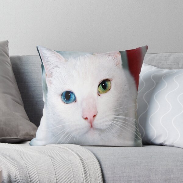 pillow Mid-coated Brown Cat Throw Pillow