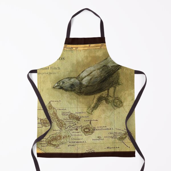 Item preview, Darwin’s Galapagos Finch designed and sold by SarahDahlinger.