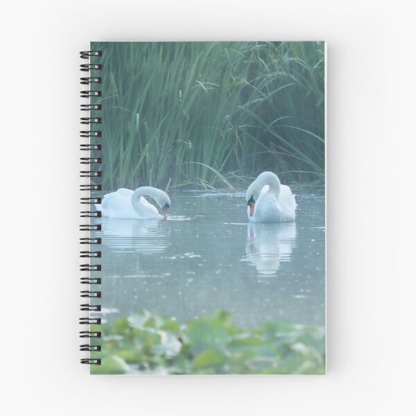 Item preview, Two white swans on the morning lake designed and sold by steppeland.