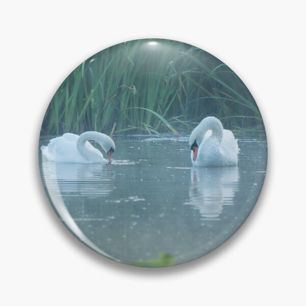 Item preview, Two white swans on the morning lake designed and sold by steppeland.