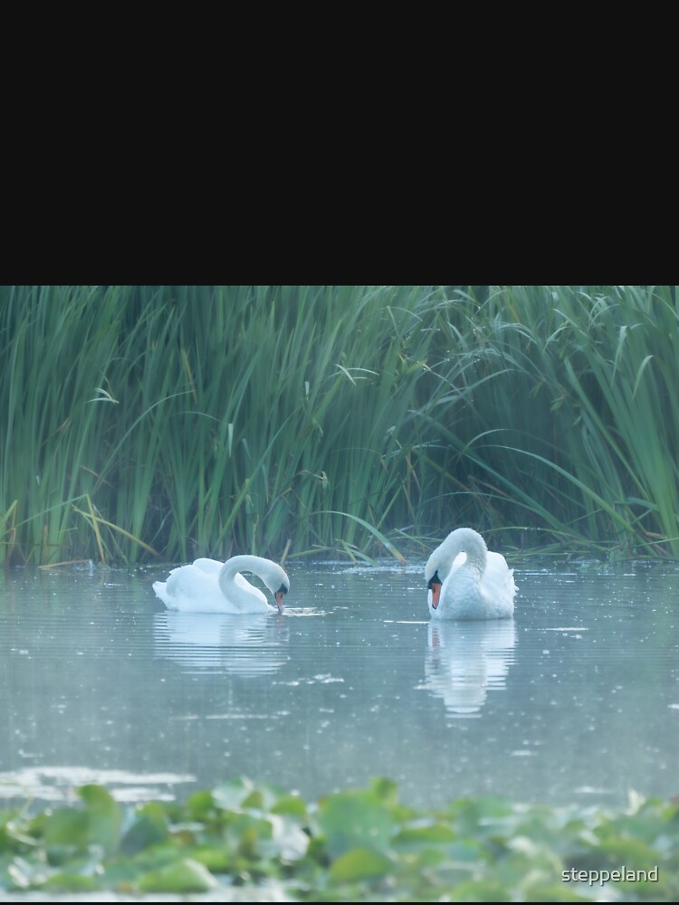 Thumbnail 7 of 7, Classic T-Shirt, Two white swans on the morning lake designed and sold by steppeland.