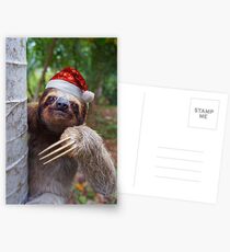Christmas animal sloth wearing santa hat Postcards