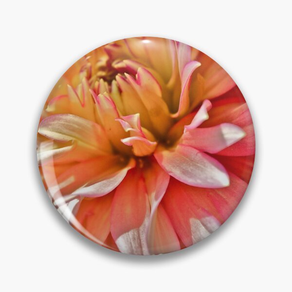 Aperçu de l'œuvre Dahlia Blush créée et vendue par Linda Bianic.