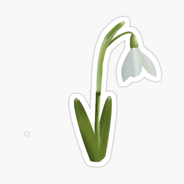 Little Snowdrop Sticker