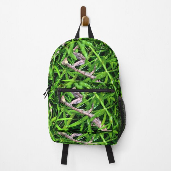 Item preview,  praying mantis with water droplets  designed and sold by zen88.