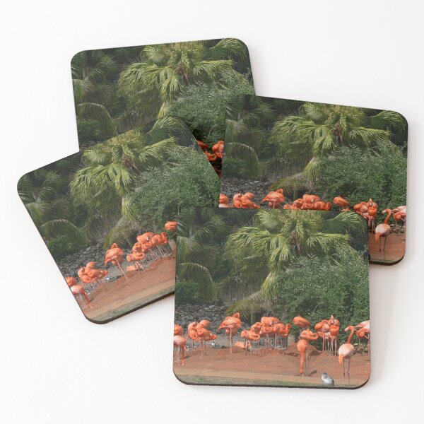 Item preview, Pink Caribbean Flamingo at Busch Gardens designed and sold by Monika's Shop.