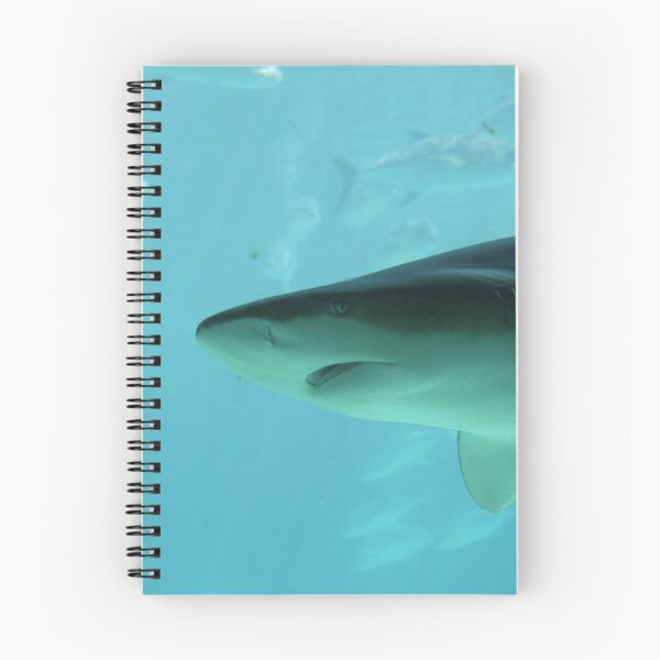 Item preview, Shark designed and sold by Monika's Shop.