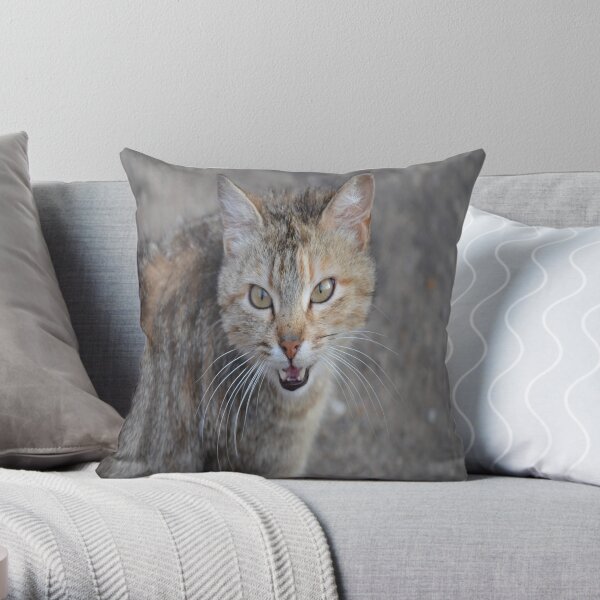 Cat Animal Pet Cute Cat Face Fur Cut Cat Wild Throw Pillow