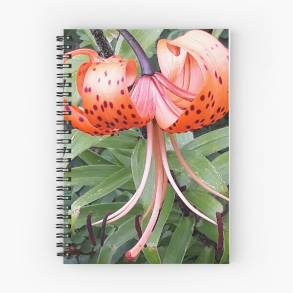 Item preview, Tiger lily designed and sold by Pickle-Mouse.