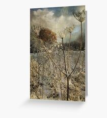 Winter in the Meadow Greeting Card