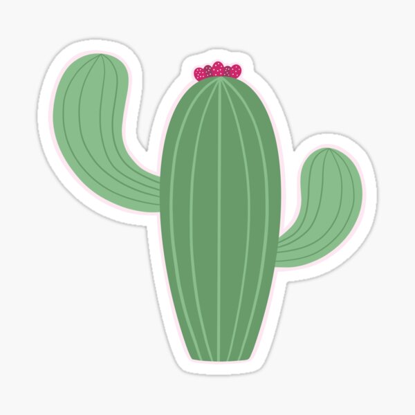 "Saguaro Cactus" Sticker for Sale by somanybees Redbubble