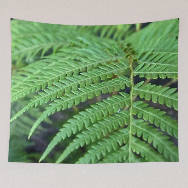 Item preview, Fern in the Forest designed and sold by Douglas E. Welch Design and Photography.