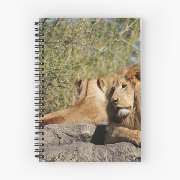 Item preview, Lion Family designed and sold by Monika's Shop.